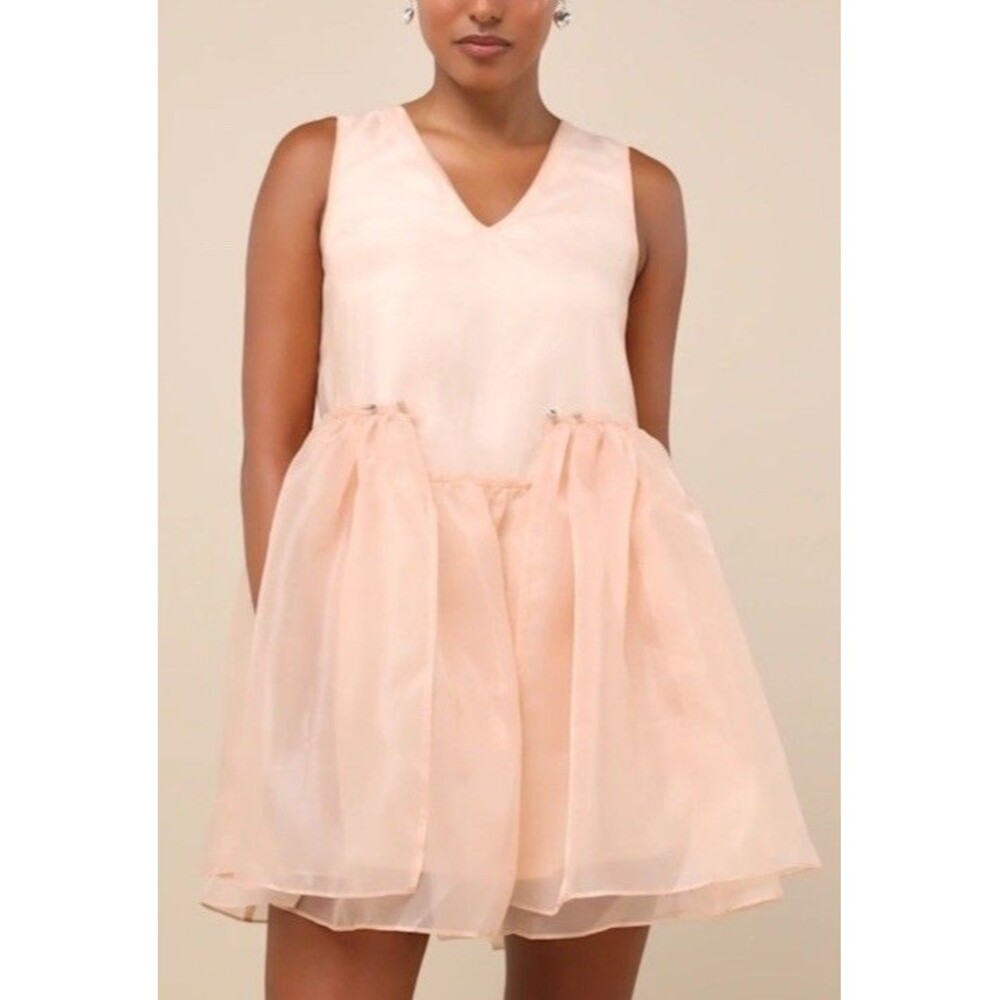 Zemeta Bloom - Blush Pink Organza Dress - Ribbon Tie Mini Dress Size Small